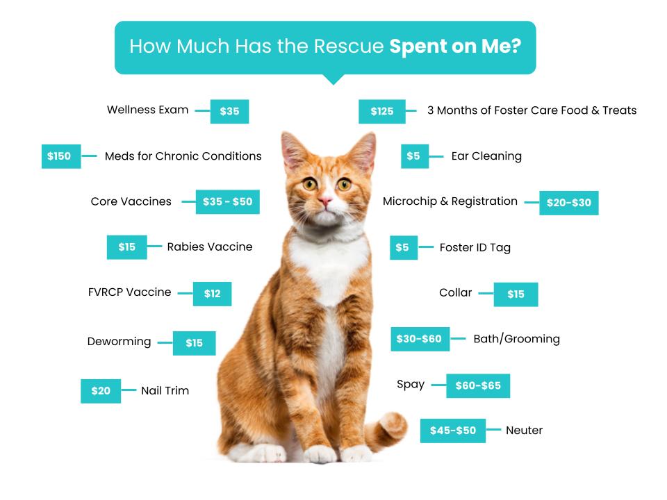 Frankie's House Animal Rescue - Fee Graphic (1) copy