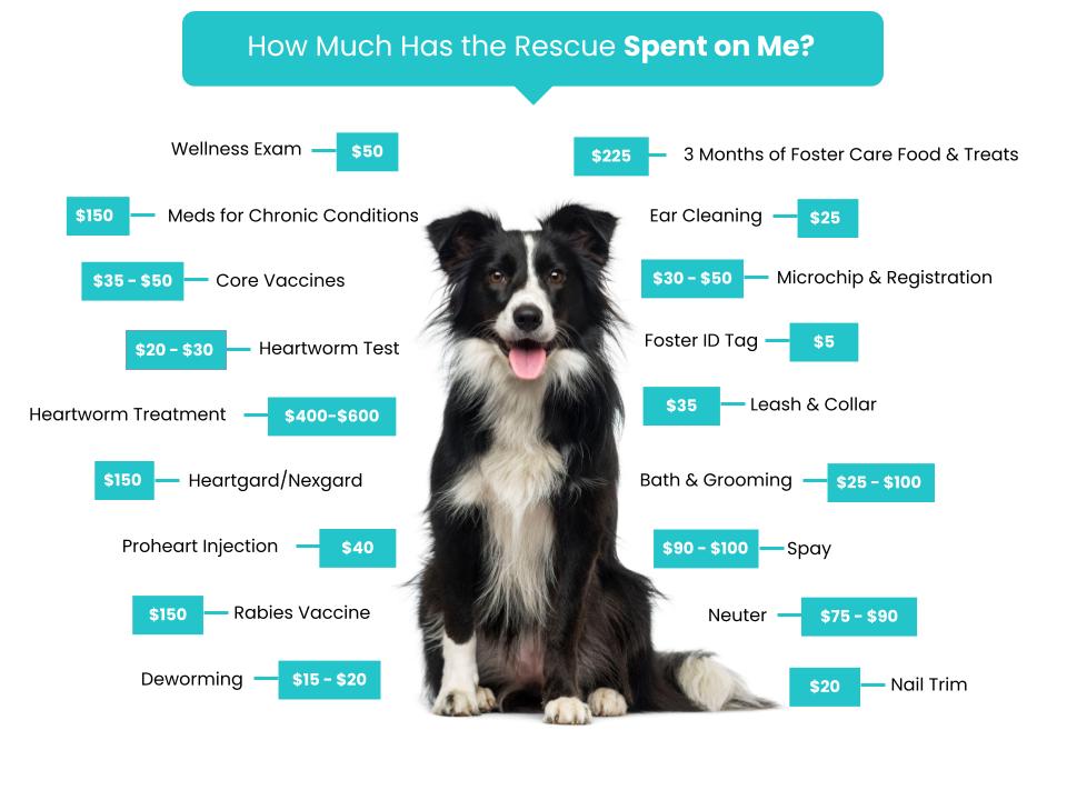 Frankie's House Animal Rescue - Fee Graphic (1)